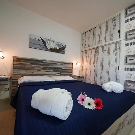 Gazania Villa *