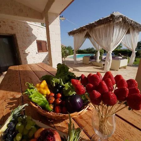 Gazania Villa Ostuni